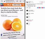 Tiktok Users Are Eating Nutmeg to Get High and It's More Dangerous Than You Think