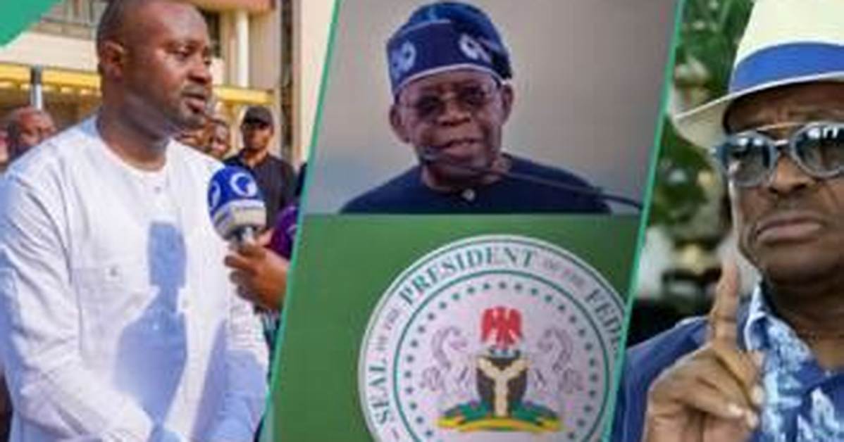 Tinubu Hints at Why He Dragged 36 Governors to Court