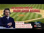 Todd Zeile Net Worth