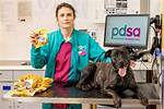Vet Gives Warning After Dog's Paw Pads Burn off from Hot Pavement