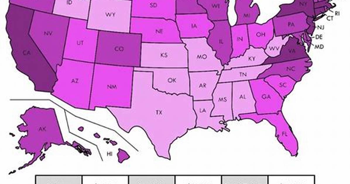 Vet Tech Salary: Vet Technician Pay in 2024
