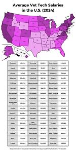 Vet Tech Salary: Vet Technician Pay in 2024