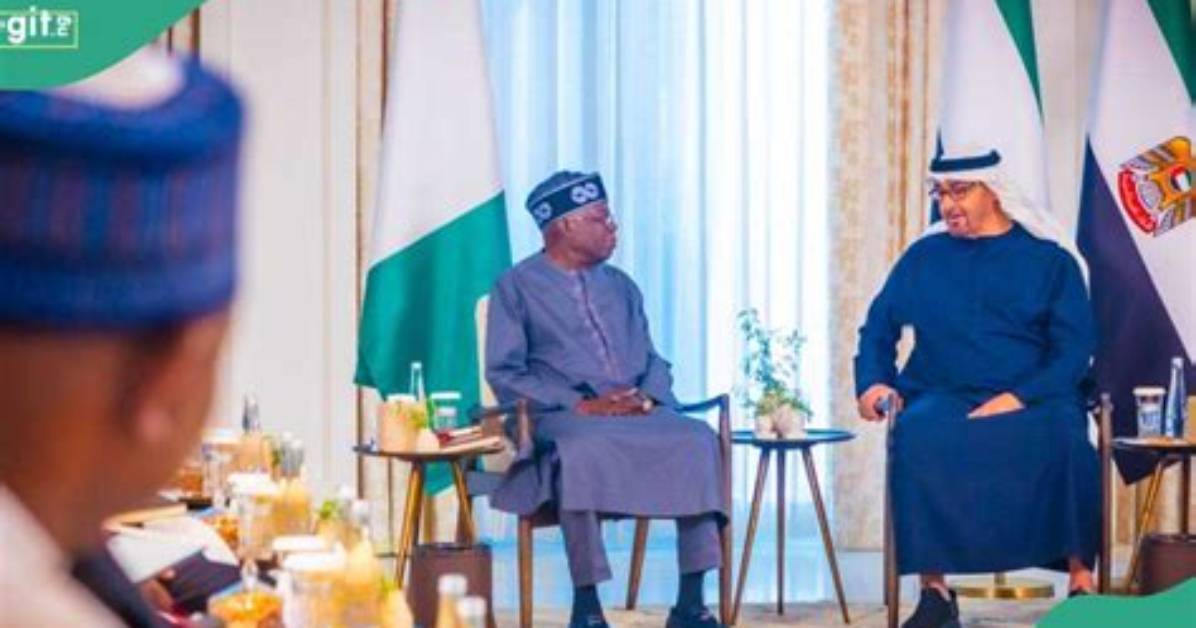 Visa Ban Lift: Can Nigerians Start Travelling to Dubai Immediately? Presidency Opens Up