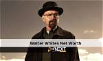 Walter White Net Worth – How Much Is White Worth?