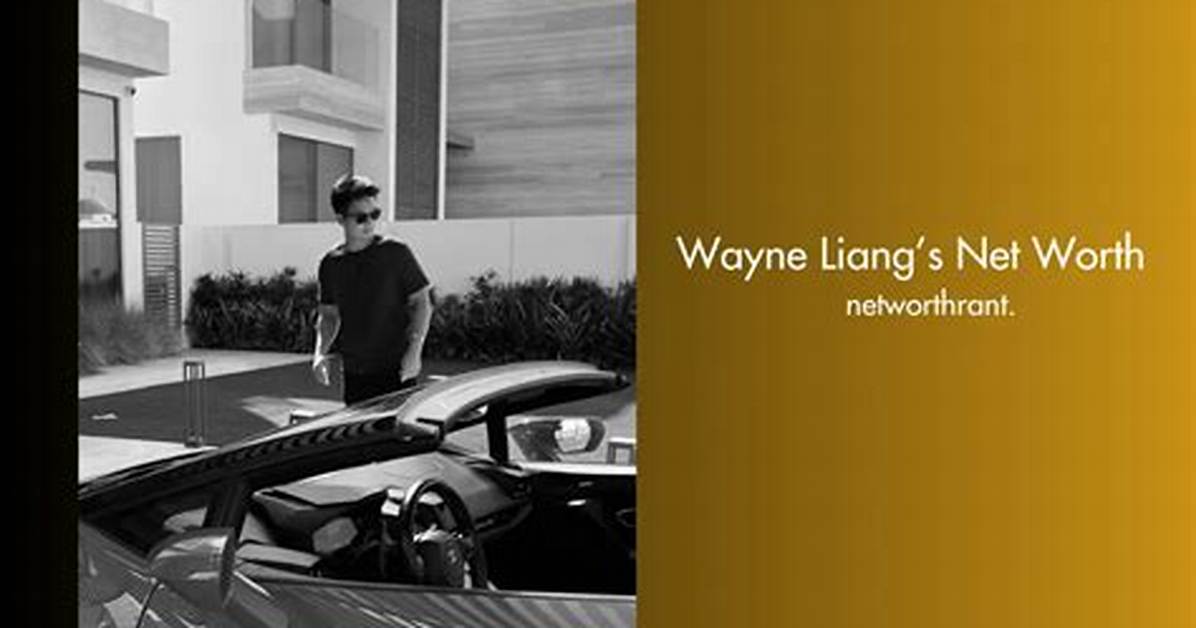 Wayne Liang Net Worth – How Much Is Liang Worth?
