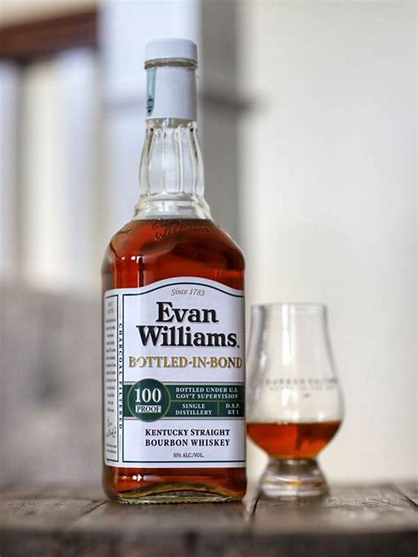 Welcome to the World of Evan Williams: Internet Entrepreneur and Co-Founder of Twitter
