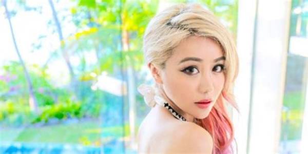 Wengie Net Worth