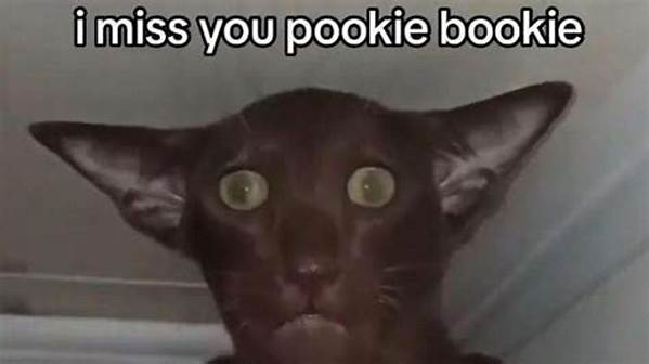 What Does Pookie Mean on Tiktok? Why People Are Using It