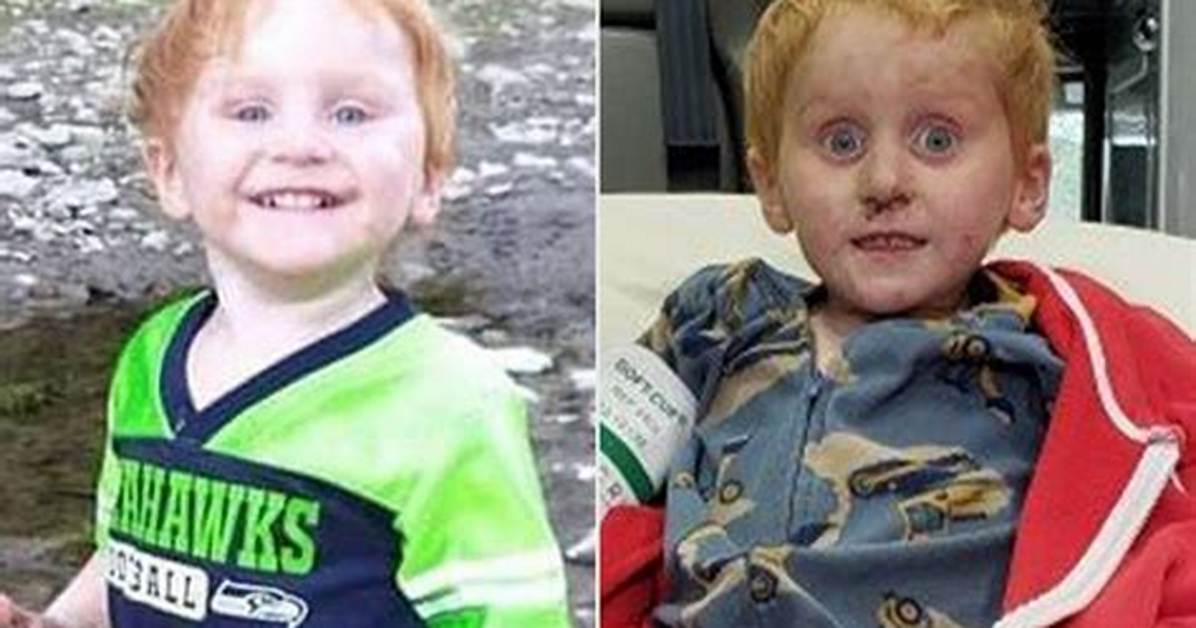 Where Is Ryker Webb Now? Survived Wilderness at 3 Year's Old