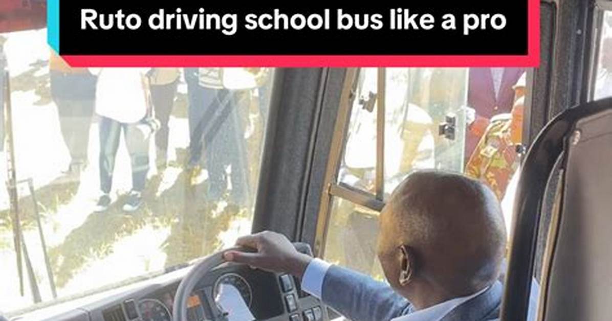 "Who Driving This Bus" on Tiktok Is Hilarious –– Who Started the Trend?