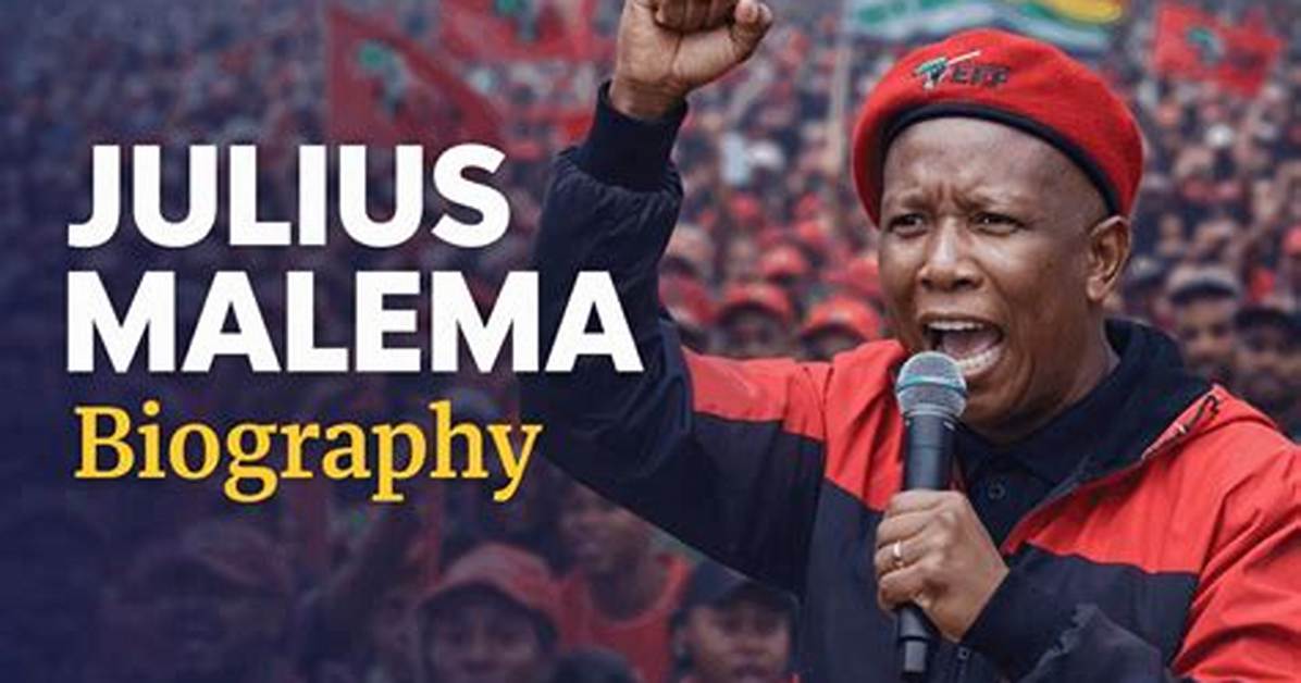 Who Is Julius Malema? | Biography | Wiki | and Net Worth