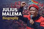 Who Is Julius Malema? | Biography | Wiki | and Net Worth