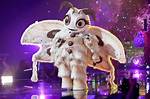 Who Is Poodle Moth on the Masked Singer? She's Been Unmasked! (Spoilers)
