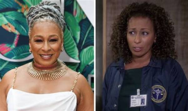 Why Did Tamara Tunie Leave Nbc's Hit Crime Drama 'Law & Order: Svu'?