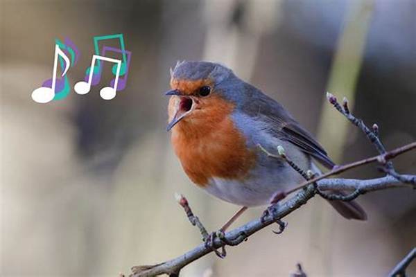 Why Do Birds Sing So Incredibly Loud in the Early Hours of the Morning?