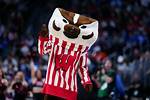Wisconsin Badgers | College Football Network