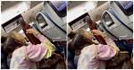Woman Brings Pit Bull on Plane, Sparks Outage on the Internet