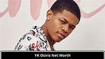 Yk Osiris Net Worth - How Much Does Yk Osiris Make?