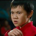 Zhenwei Wang: the Karate Kid Actor Biography