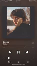 Zinnias by Clairo from Usa