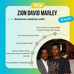 Zion David Marley Net Worth